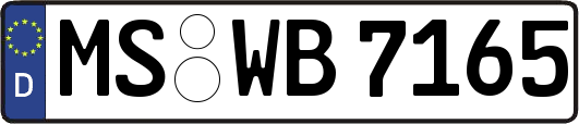 MS-WB7165