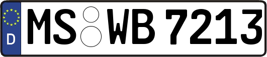 MS-WB7213