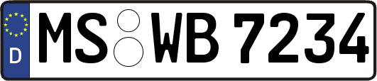MS-WB7234