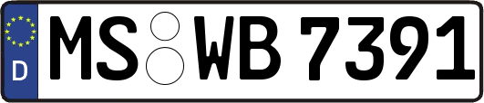 MS-WB7391