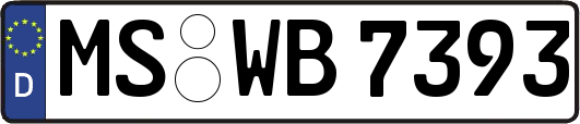 MS-WB7393