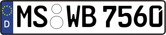 MS-WB7560
