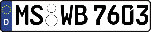 MS-WB7603