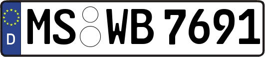 MS-WB7691