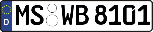 MS-WB8101