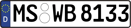 MS-WB8133