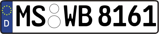 MS-WB8161
