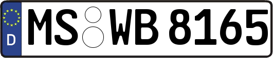MS-WB8165