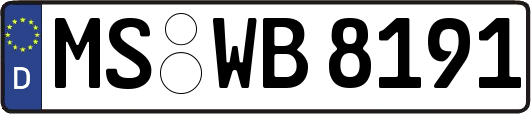 MS-WB8191