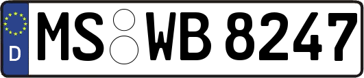 MS-WB8247