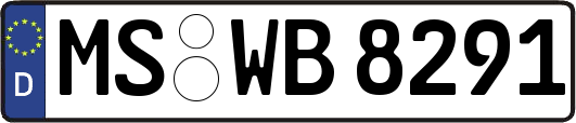 MS-WB8291