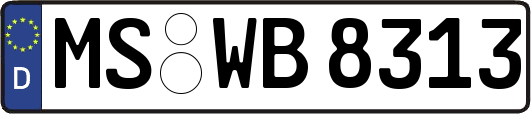 MS-WB8313