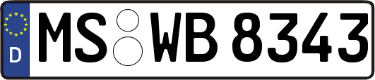 MS-WB8343
