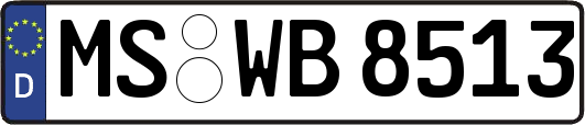 MS-WB8513