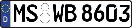 MS-WB8603