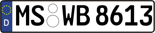 MS-WB8613