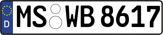 MS-WB8617