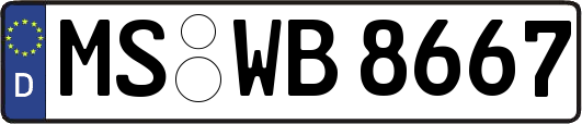 MS-WB8667