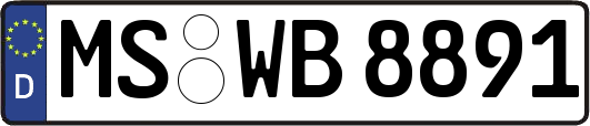 MS-WB8891