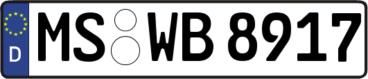 MS-WB8917
