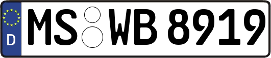 MS-WB8919
