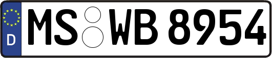MS-WB8954