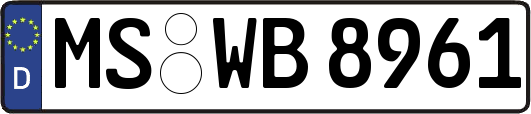 MS-WB8961