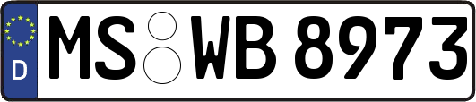 MS-WB8973