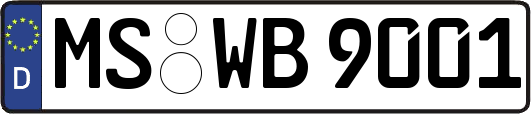 MS-WB9001
