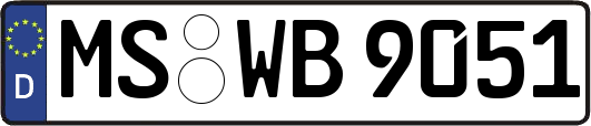 MS-WB9051