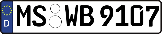 MS-WB9107