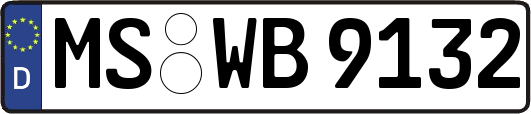 MS-WB9132
