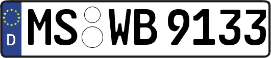 MS-WB9133