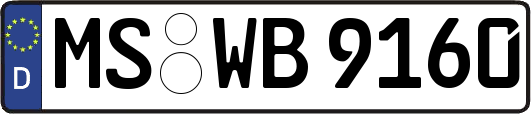 MS-WB9160