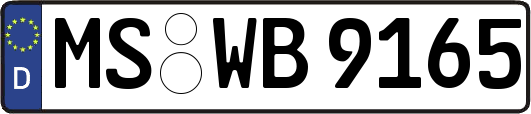 MS-WB9165