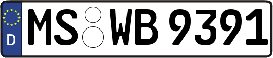 MS-WB9391