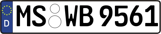 MS-WB9561