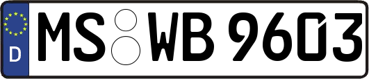 MS-WB9603