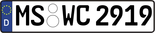 MS-WC2919