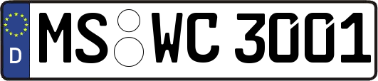 MS-WC3001