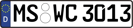 MS-WC3013