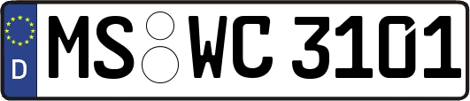 MS-WC3101