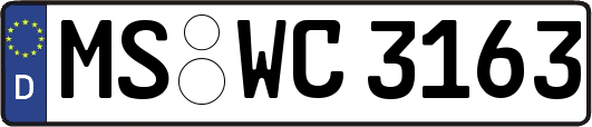 MS-WC3163