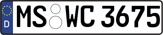MS-WC3675