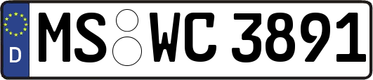 MS-WC3891