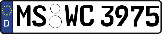 MS-WC3975