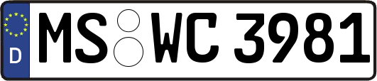 MS-WC3981