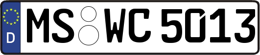 MS-WC5013