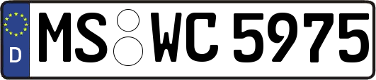 MS-WC5975