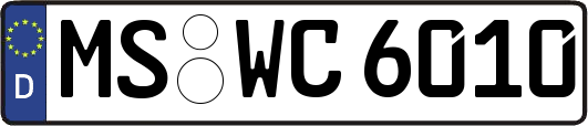 MS-WC6010